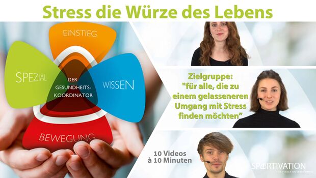 Stress - Die Würze des Lebens | Eine 10-teilige Videoreihe